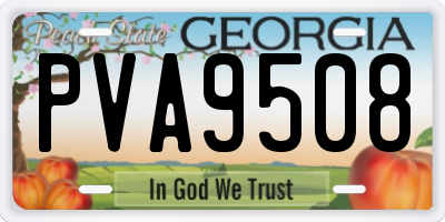 GA license plate PVA9508