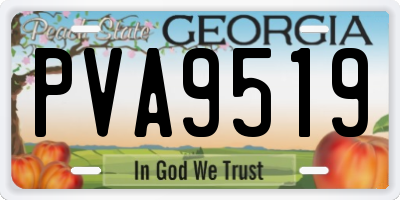 GA license plate PVA9519