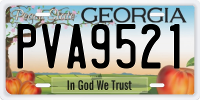 GA license plate PVA9521