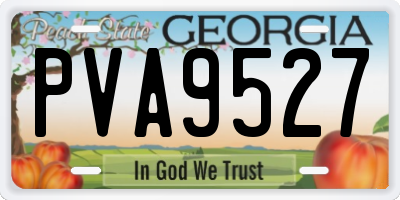 GA license plate PVA9527