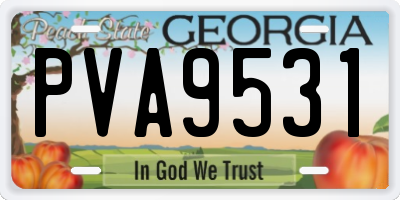 GA license plate PVA9531