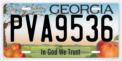 GA license plate PVA9536