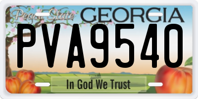 GA license plate PVA9540