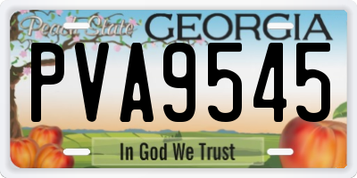 GA license plate PVA9545
