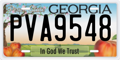 GA license plate PVA9548
