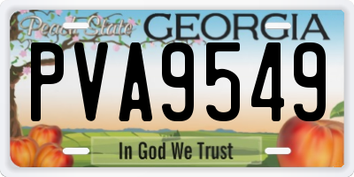 GA license plate PVA9549