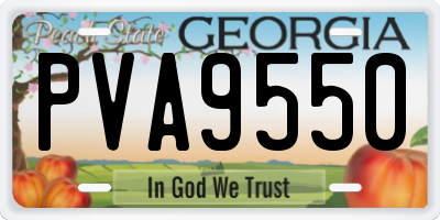 GA license plate PVA9550