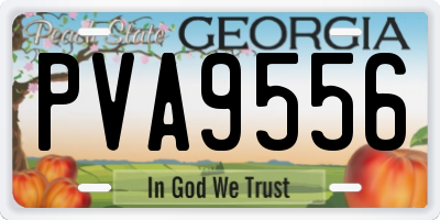 GA license plate PVA9556