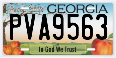 GA license plate PVA9563