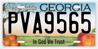 GA license plate PVA9565