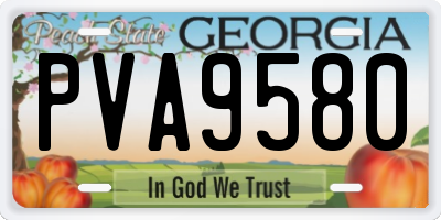 GA license plate PVA9580