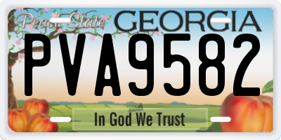 GA license plate PVA9582
