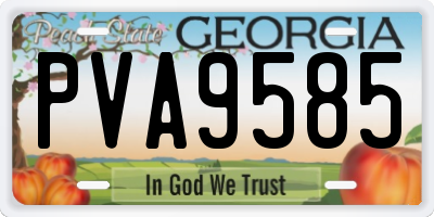 GA license plate PVA9585