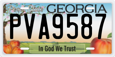 GA license plate PVA9587
