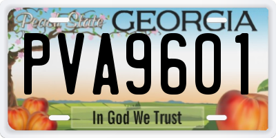 GA license plate PVA9601