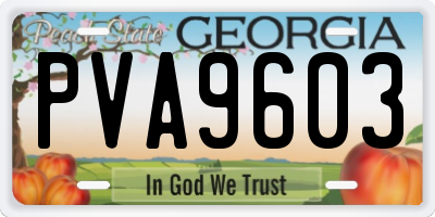 GA license plate PVA9603