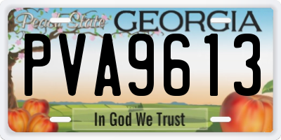 GA license plate PVA9613