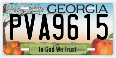 GA license plate PVA9615