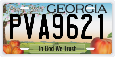 GA license plate PVA9621