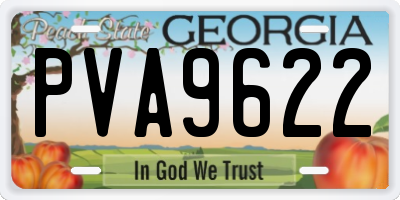 GA license plate PVA9622