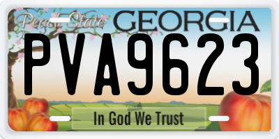 GA license plate PVA9623