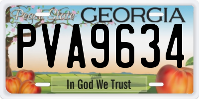 GA license plate PVA9634