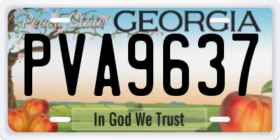 GA license plate PVA9637