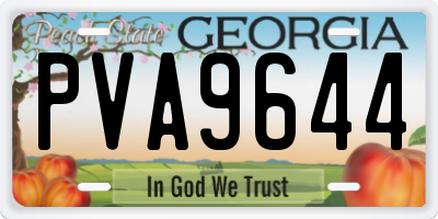 GA license plate PVA9644
