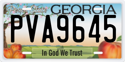 GA license plate PVA9645