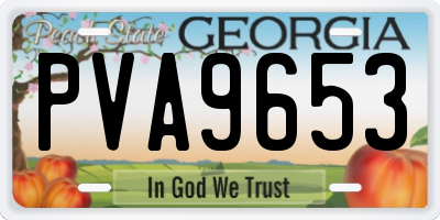 GA license plate PVA9653