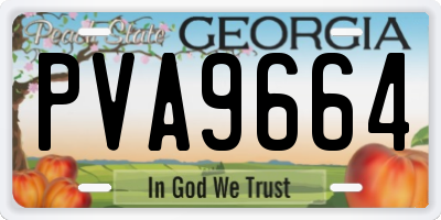 GA license plate PVA9664