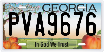 GA license plate PVA9676