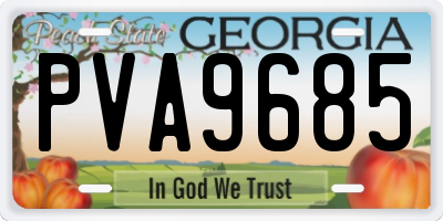 GA license plate PVA9685
