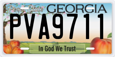 GA license plate PVA9711