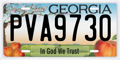 GA license plate PVA9730