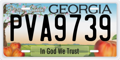 GA license plate PVA9739
