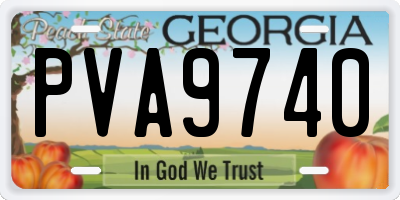GA license plate PVA9740