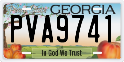 GA license plate PVA9741