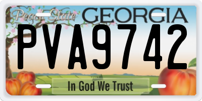 GA license plate PVA9742