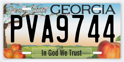 GA license plate PVA9744