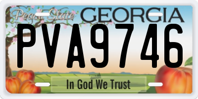 GA license plate PVA9746