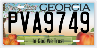 GA license plate PVA9749
