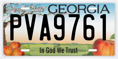 GA license plate PVA9761