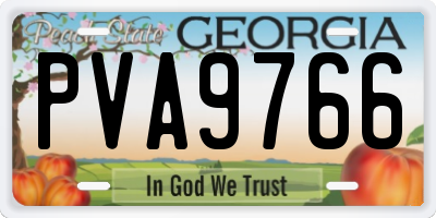 GA license plate PVA9766