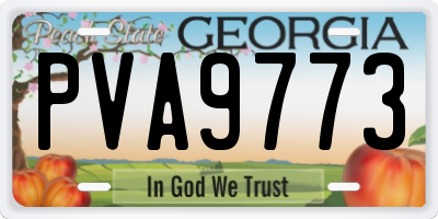 GA license plate PVA9773