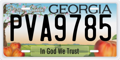 GA license plate PVA9785
