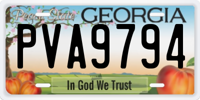 GA license plate PVA9794