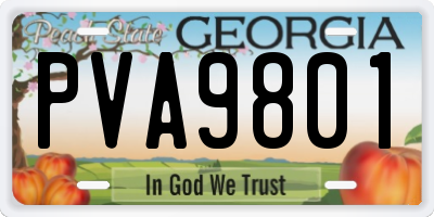 GA license plate PVA9801