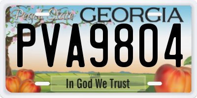 GA license plate PVA9804