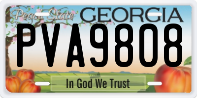 GA license plate PVA9808
